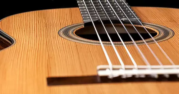ویژگی و مشخصات گیتار آدمیرا خوآنیتا EF